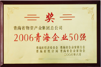 2006青海企业50强