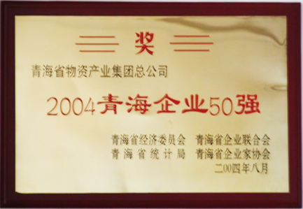 2004青海企业50强
