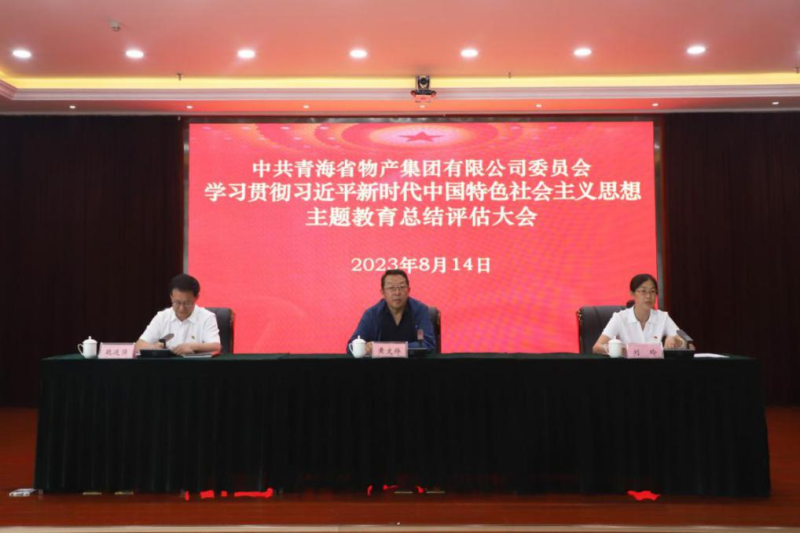 省物产集团党委召开主题教育总结评估大会
